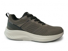 VB17662 BROWN M-A LION