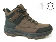 L25921 BROWN M-A KALOS