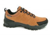 VB17165 CAMEL M-B NEBUL