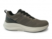 VB17662 BROWN M-A LION
