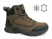 L17156 BROWN M-A VIRAL