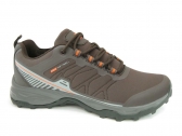 04107 BROWN M-B (P2) FALER