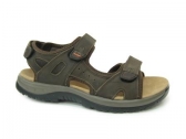 DK18004 BROWN M-A SANDO